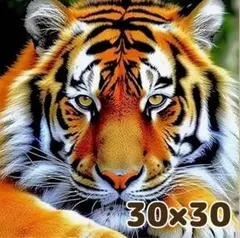 Item thumbnail for item 54d0ac3e-5376-4ce9-a230-df4f5d2b52ed