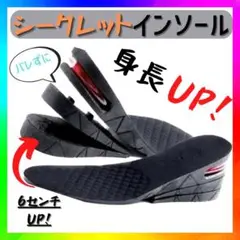 シークレットインソール 3段階 調整 +6cm メンズ レディース 兼用 中敷