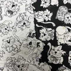 難あり　ロラライハリス　２枚組　犬　ドッグ