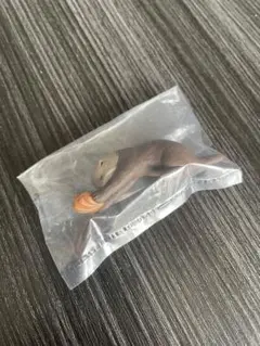お納めします ラッコ