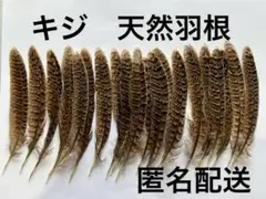 キジの天然羽根（フェザー）NO4　鳥の羽根　２０枚