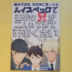 【名探偵コナン】同人誌「組織壊滅後、元の体に戻った…」安室透・赤井秀一・工藤新一