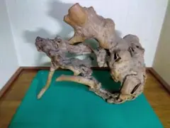 Item thumbnail for item 76afc572-91f6-43c6-8288-c7f4896450d3