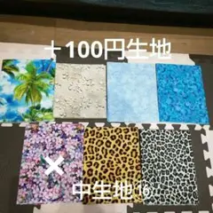 Item thumbnail for item 350d4a48-562b-4dff-a355-5f8c5dd3fc9d