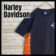 Item thumbnail for item 48473208-7b83-43a2-8416-7592568a7339