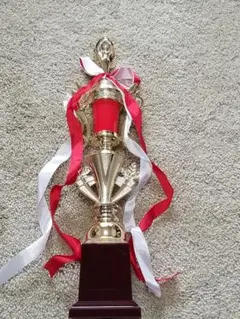 トロフィー(箱入り)