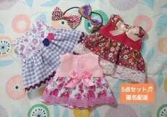 メルちゃんの服　メルちゃん　ソラン　レミン　73