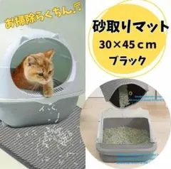 Item thumbnail for item f76af3f8-8ae4-4430-89e0-bed40293891b