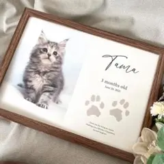 Item thumbnail for item 09dfc9f2-35b5-4a1e-a70b-53c38dd831fa