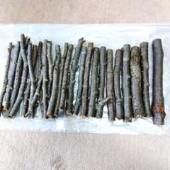 Item thumbnail for item efb583c6-2965-486d-b11a-dbbd6462141b