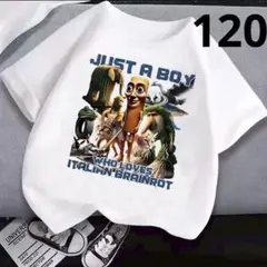 イタリアンブレインロット 子供服 半袖 Tシャツ 120cm 海外ミーム