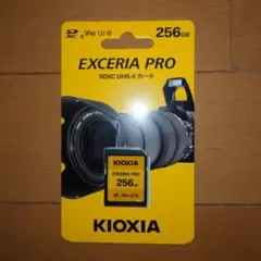 キオクシア製　SDカード256GB