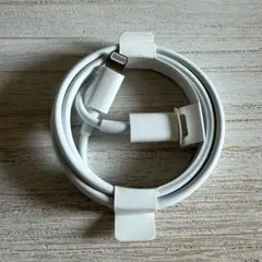 Apple Lightning - USB-C ケーブル ホワイト