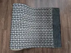 Item thumbnail for item 69631189-d87f-4857-9079-689e69fb02f6
