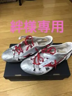 ミズノ インクスブレイク クロノブレイク スペシャルオーダー 26.25 EE