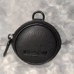 Item thumbnail for item 8a3e544c-4749-498c-b4d1-34cd2f83018a