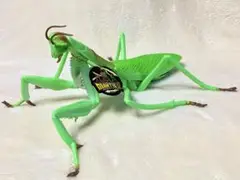 リアルビッグサイズフィギュア カマキリ2