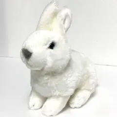 Johnny's Factory うさぎ　ぬいぐるみ