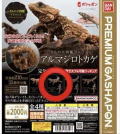 生き物大図鑑アドバンス　アルマジロトカゲ　ダークブラウン