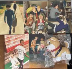 【初回特典付】風が強く吹いている　DVD5巻セット