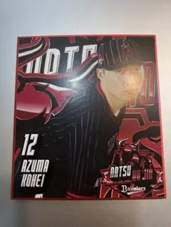 Item thumbnail for item 693b7e90-9155-4b25-b257-f7d79b1ccf59