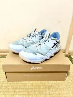 Item thumbnail for item c3c93818-76ed-42f1-9a52-a154e165c4d0