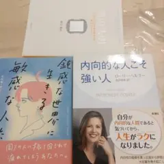 敏感な世界に生きる敏感な人たち 　 内向的な人こそ強い人　鏡の法則