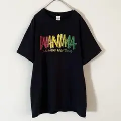 【一点物】WANIMA ロゴ Tシャツ 黒 メンズ GILDAN Mサイズ