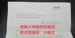 武蔵大学 2025年度 人文学部 英語英米文化学科総合型選抜/AO入試 過去問