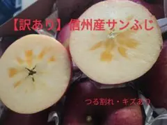 【訳あり】サンふじりんご つる割れ・キズあり 約2.5kg
