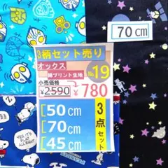 綿プリント生地 3点セット【№19】