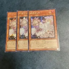 灰流うらら　アジアシークレット　3枚　③