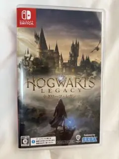 Hogwarts Legacy Nintendo Switch