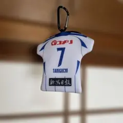 アルビレックス新潟　谷口海斗　ユニフォーム型ストラップポーチ