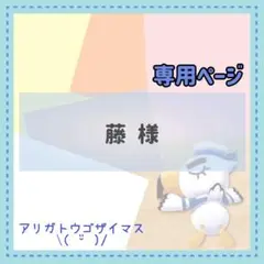 藤様 リクエスト 3点 まとめ商品
