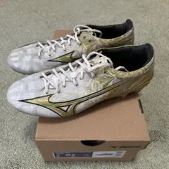 MIZUNO a PRO ミズノ　アルファプロ　25cm