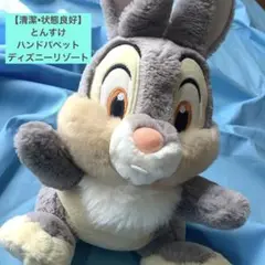 とんすけ ハンドパペット ぬいぐるみ ディズニー リゾート キャラクター