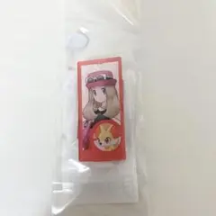セレナ＆テールナー アクスタ ポケモントレーナーズ アクスタ セレナ＆テールナー XY - メルカリ