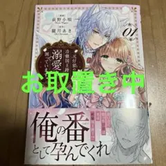 元仔狼の冷徹国王陛下に溺愛されて困っています!(1)