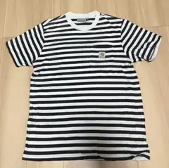 Carhartt ストライプ Tシャツ Mサイズ
