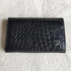 【美品】ARNOLD PALMER　アーノルドパーマー　パスケース　名刺、定期入