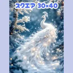No.1247 ダイヤモンドアートキット スクエア 鳥 孔雀