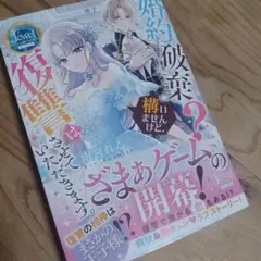 婚約破棄？構いませんけど、復讐はさせていただきます。