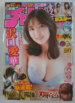 【希少】【沢口愛華 週刊少年チャンピオン・美品】【付録】両面BIGポスター