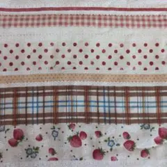 〇新品〇生地〇苺 ストロベリー〇