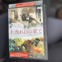 木洩れ日の家で DVD レア！
