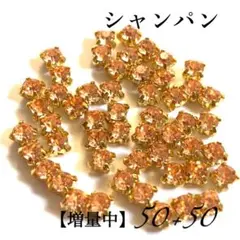 50粒 4mmゴールド台座付き シャンパン