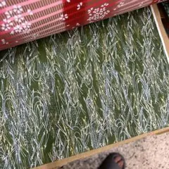 Item thumbnail for item b4f212b0-0fdd-478b-954b-0a9fbd1ea8ad