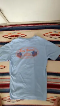 80s Donald Takayama Surf Boards Tシャツ 水色