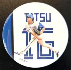 ファイターズ　#16　達孝太　ブラインド缶バッジ　シークレット　新品